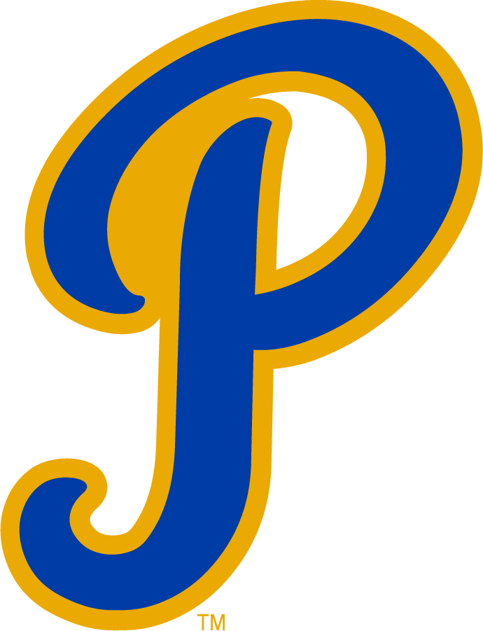 Pittsburgh Panthers 1970-1987 Secondary Logo diy iron on heat transfer